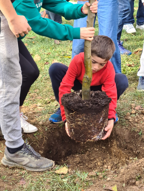 Congres Juniors 2023 - Plantation d'arbre