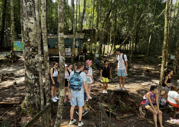 Genfest 2024 au Brésil - Jeunes en forêt