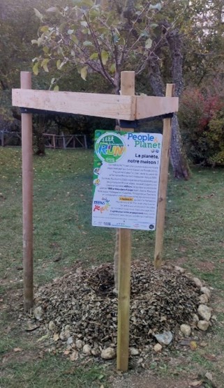 Congres juniors 2023 - Arbre planté